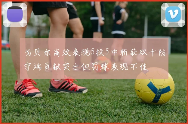 戈贝尔高效表现5投5中斩获双十防守端贡献突出但罚球表现不佳