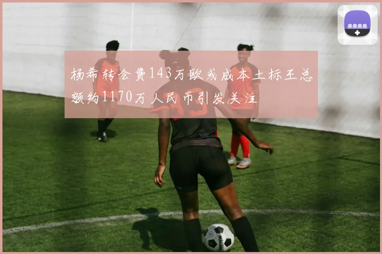 杨希转会费143万欧或成本土标王总额约1170万人民币引发关注